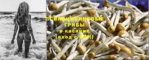 гидропоника Вяземский