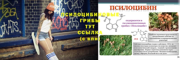 гидропоника Вяземский